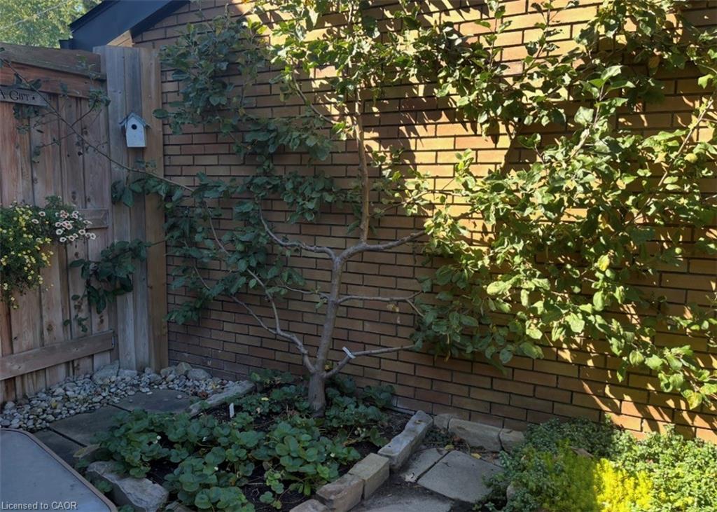 296 Weber Street E Property Photo 40