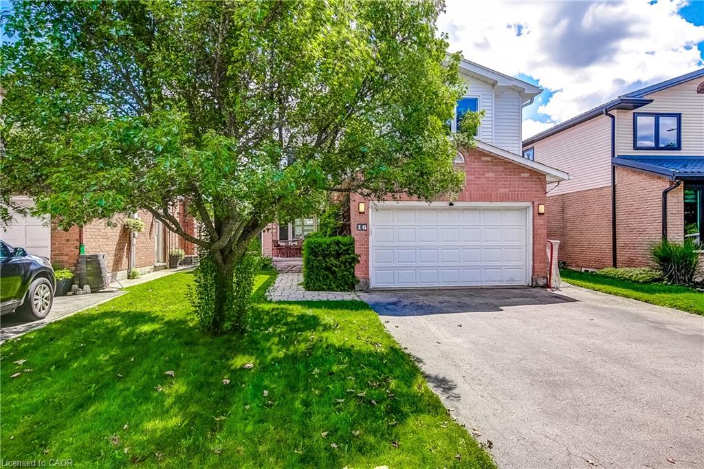 16 Harper Street Property Photo 2