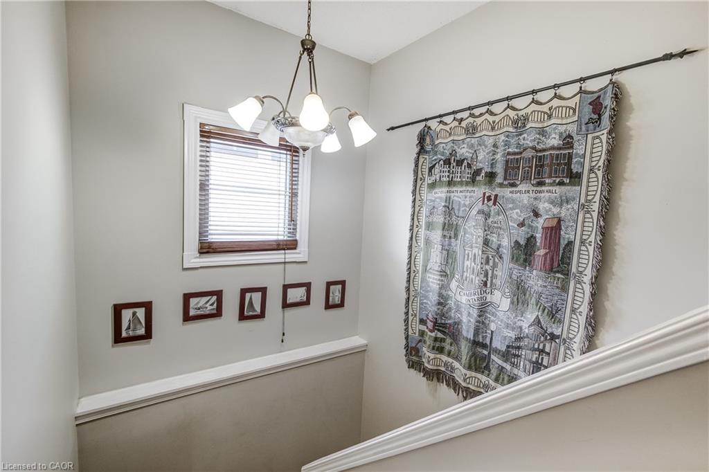 16 Harper Street Property Photo 18