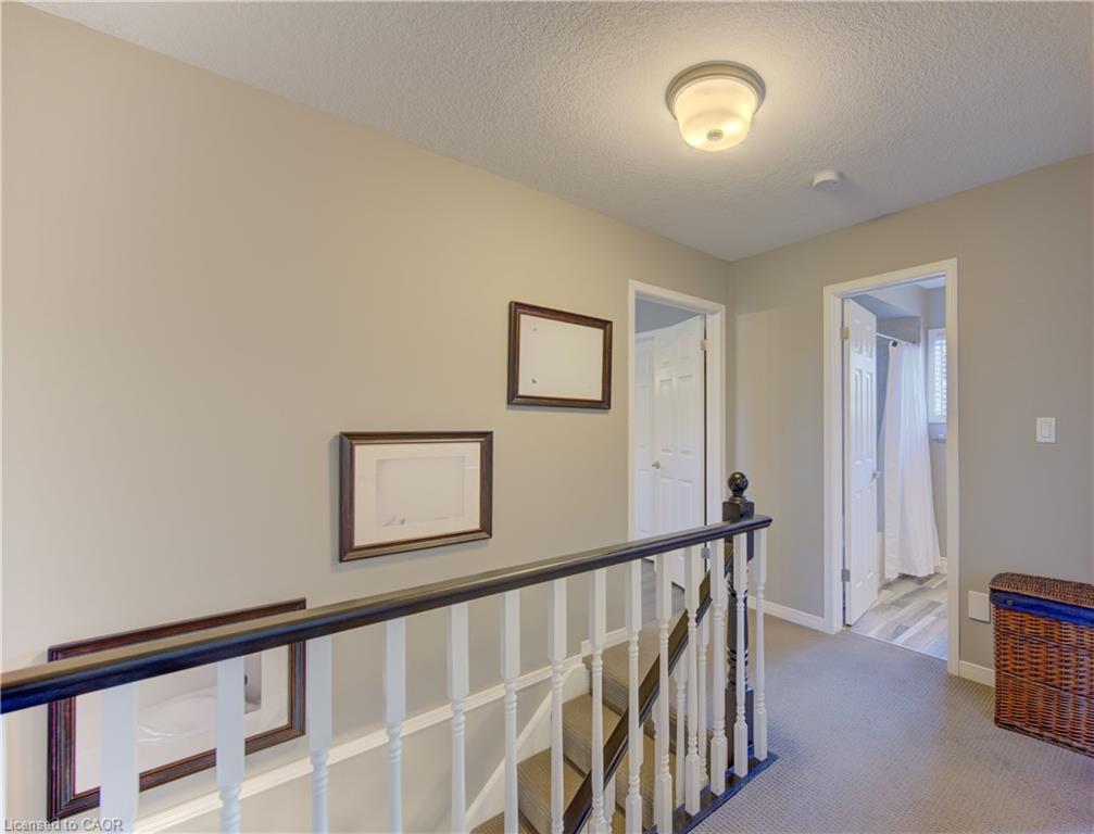 23 Trelawney Street Property Photo 28