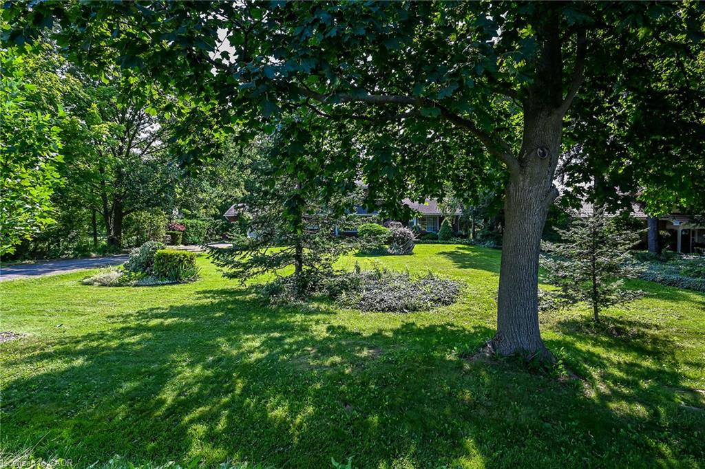 1431 Fletcher Road Property Photo 6