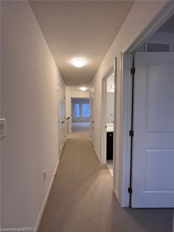 2-461 Blackburn Drive Property Photo 12