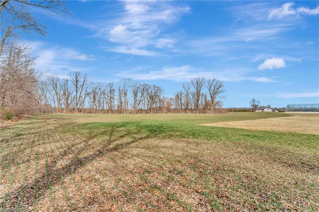 1135 Norfolk Cty Rd 19 W Property Photo 20
