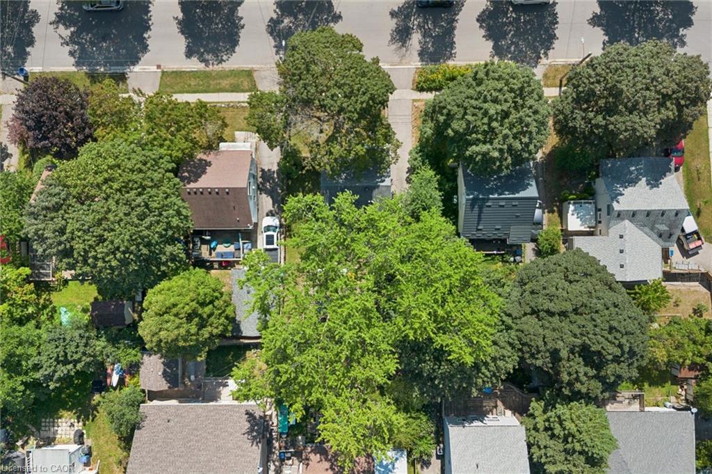 39 Ridgewood Avenue Property Photo 43