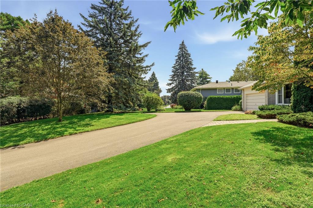 359 Lark Avenue Property Photo 4