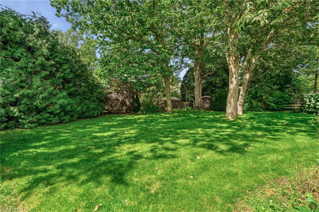 359 Lark Avenue Property Photo 40