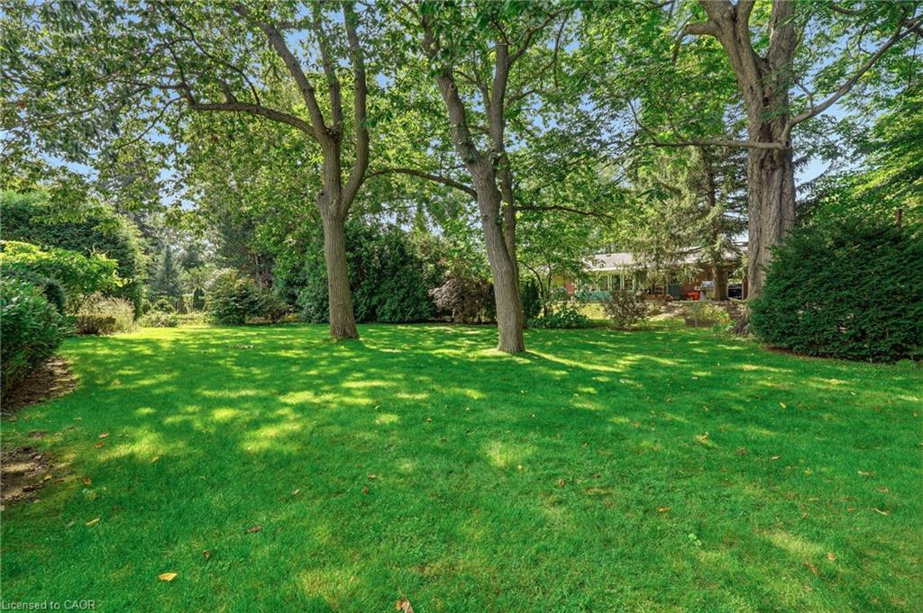 359 Lark Avenue Property Photo 42
