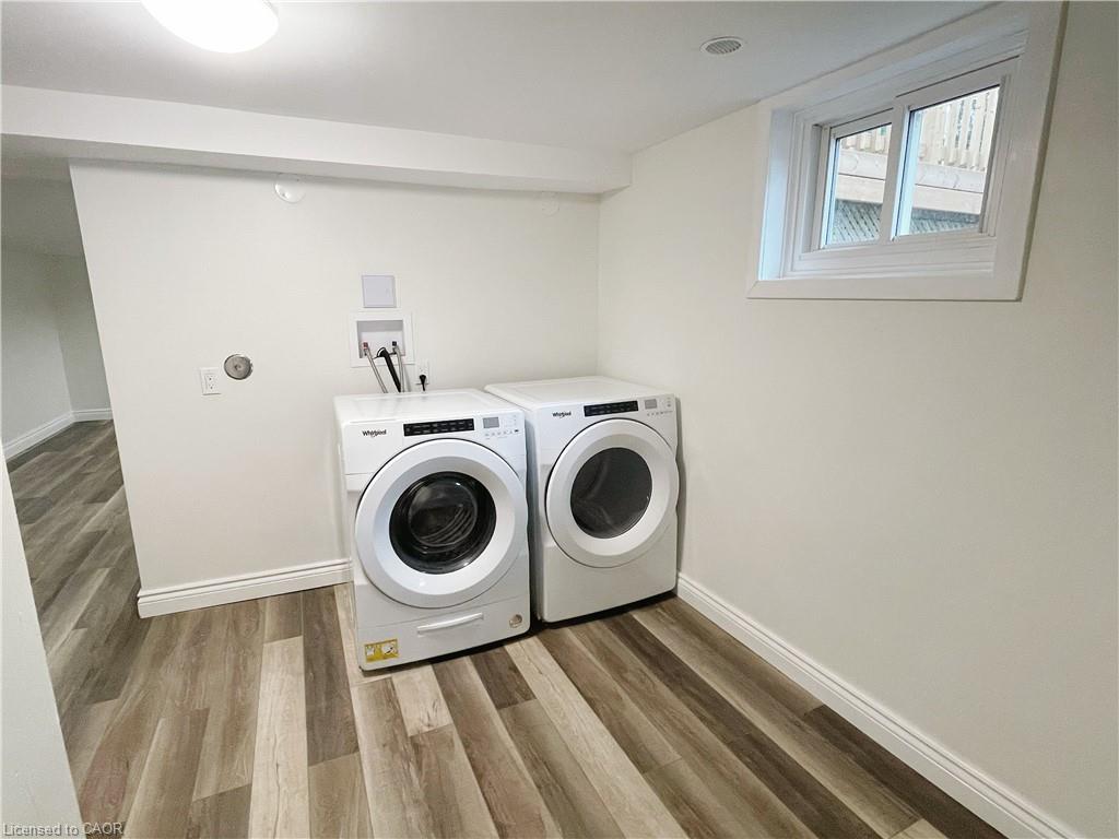 87 Elgin Crescent Property Photo 6