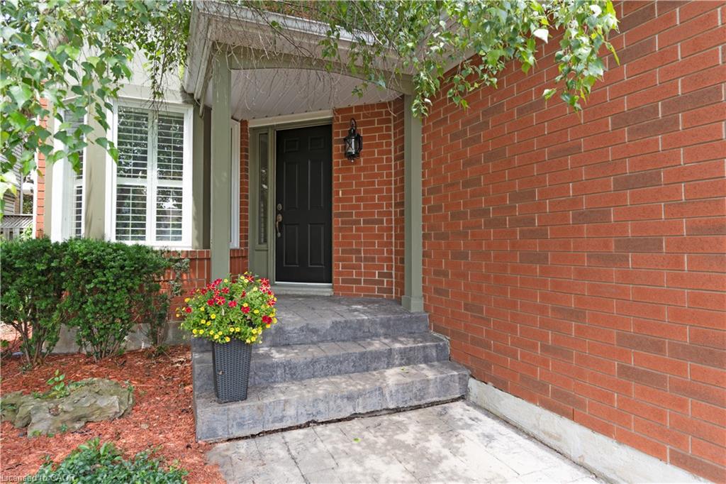 12 Pinto Drive Property Photo 3