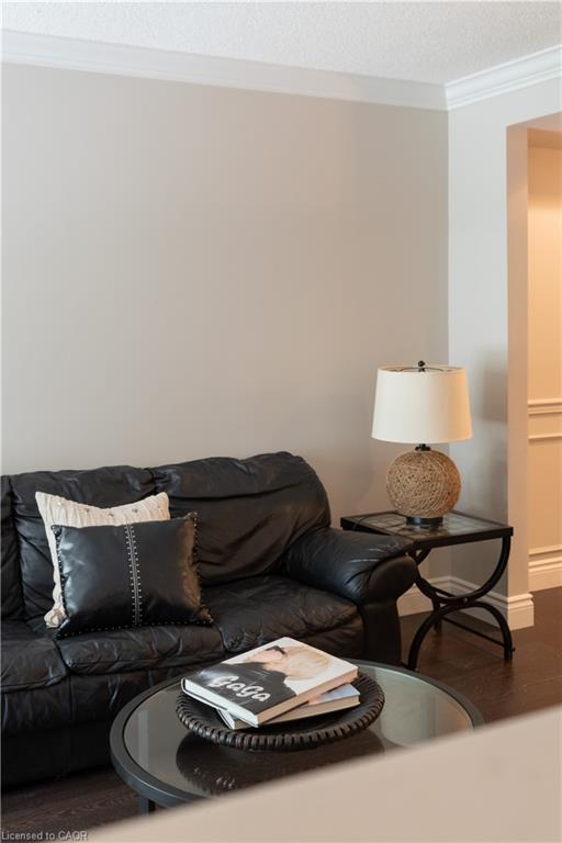 12 Pinto Drive Property Photo 10