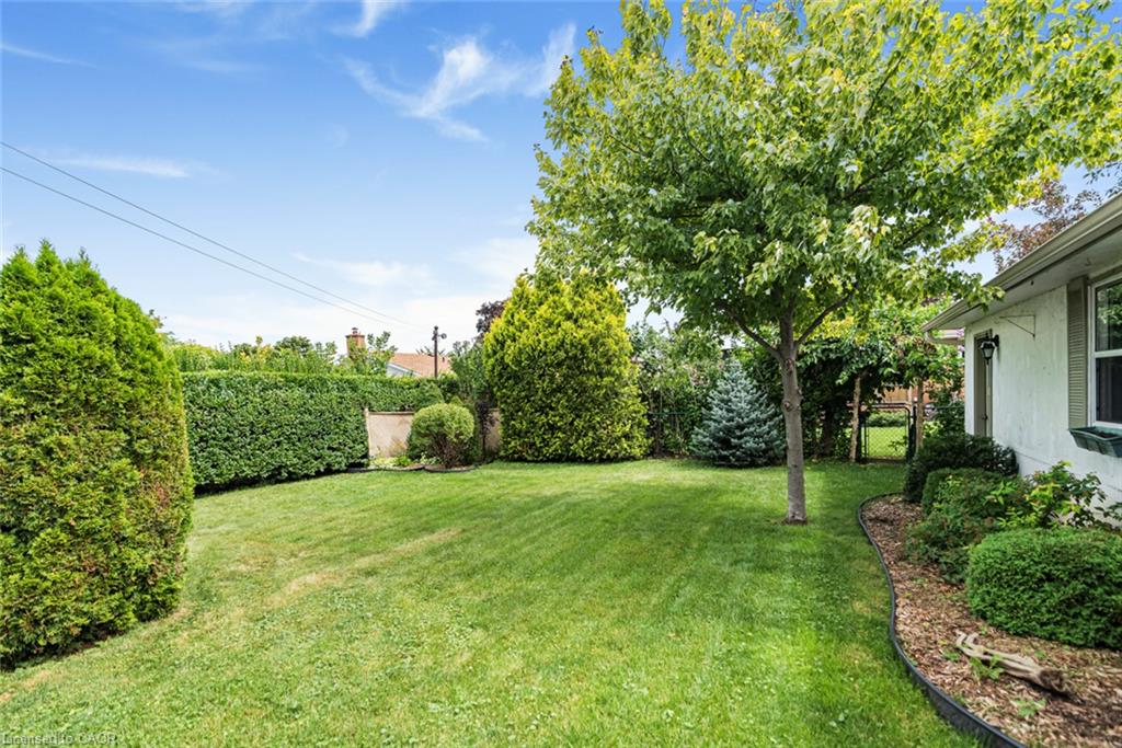 37 Lorne Avenue Property Photo 6