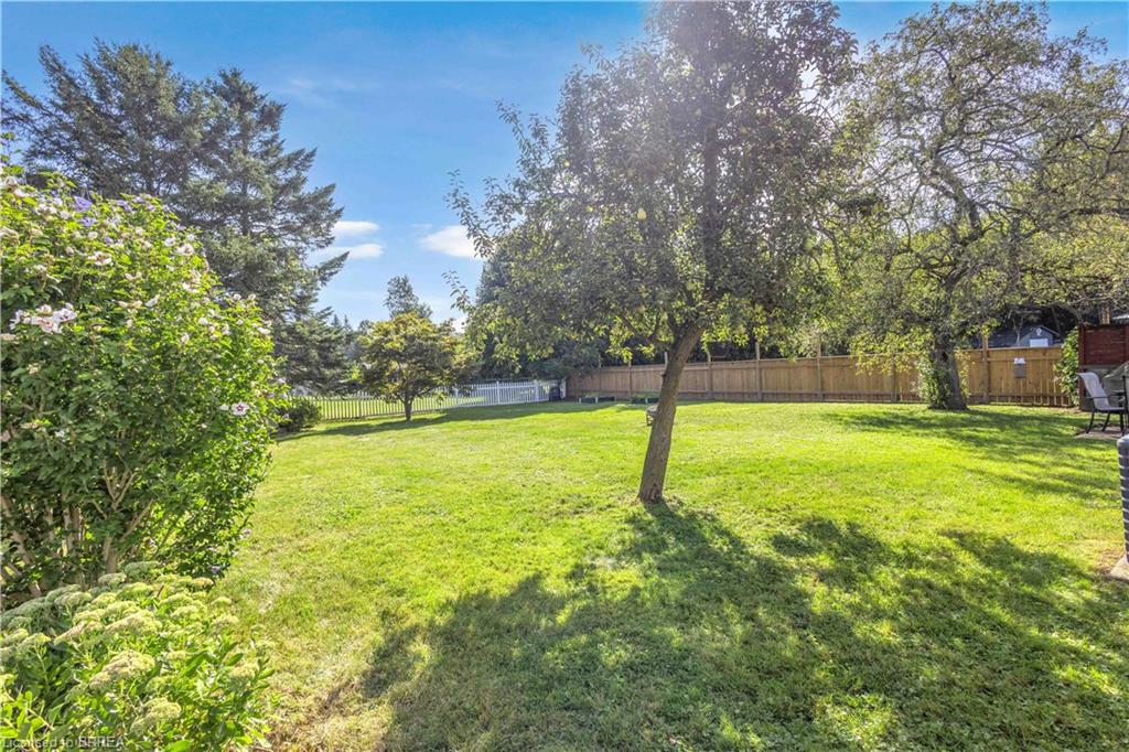 7 Willowdale Street Property Photo 31