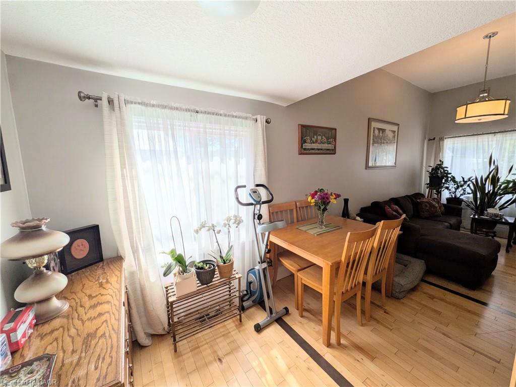 7 Campbell Avenue Property Photo 12