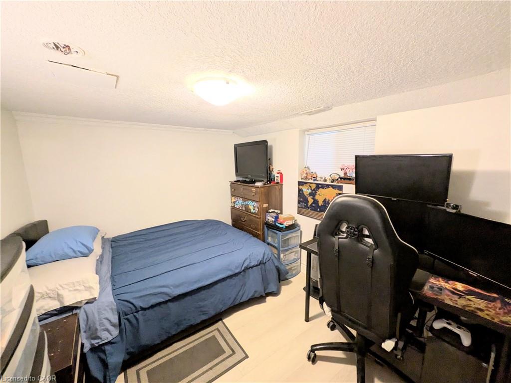 7 Campbell Avenue Property Photo 22