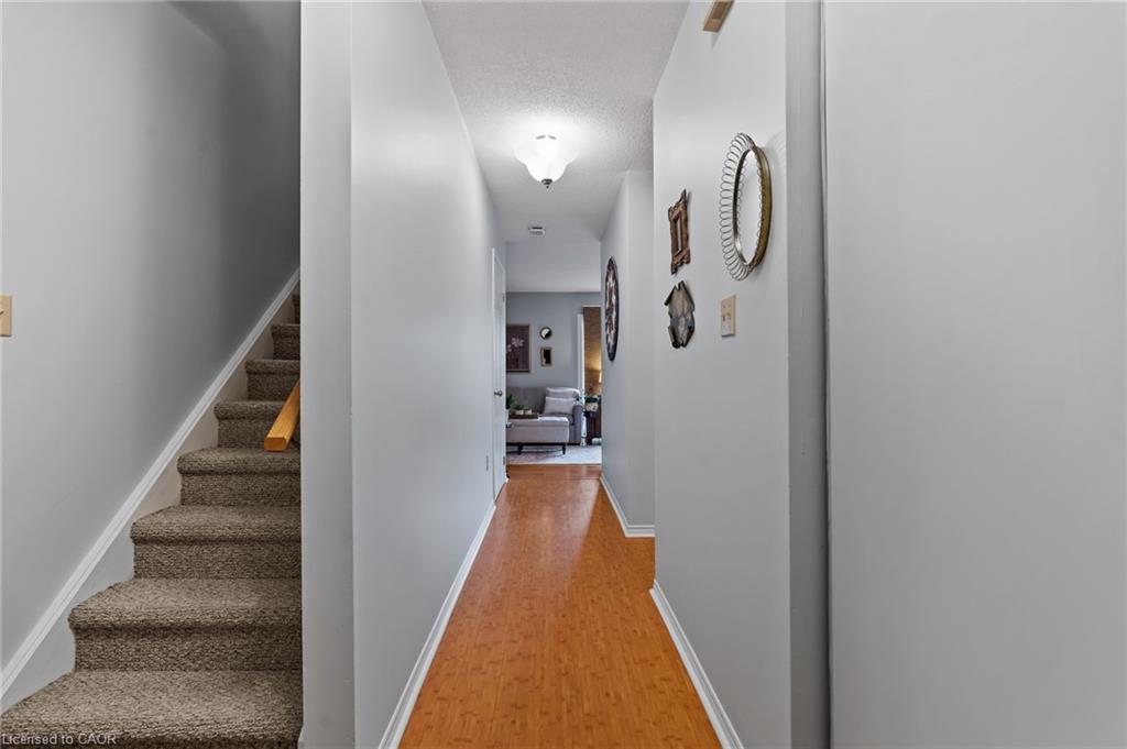 61-65 Dorchester Boulevard Property Photo 5