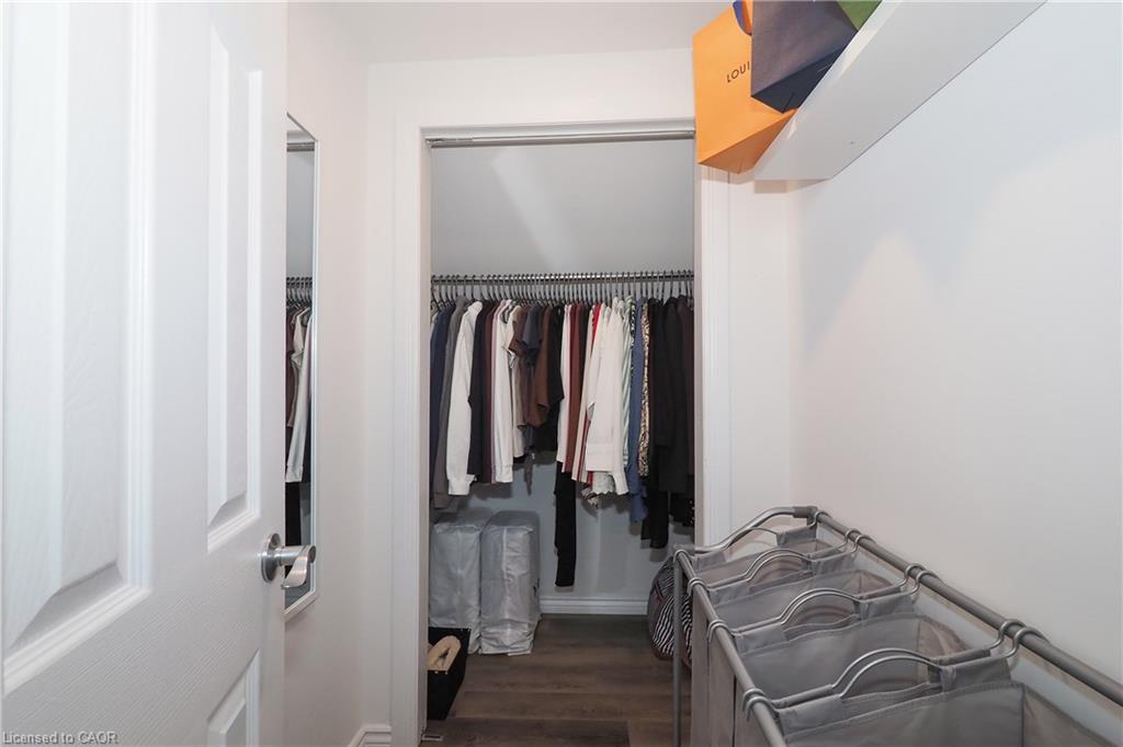 19 Douglas Street Property Photo 25