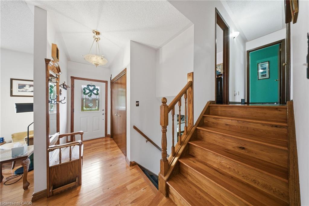 134 Frederick Street Property Photo 24