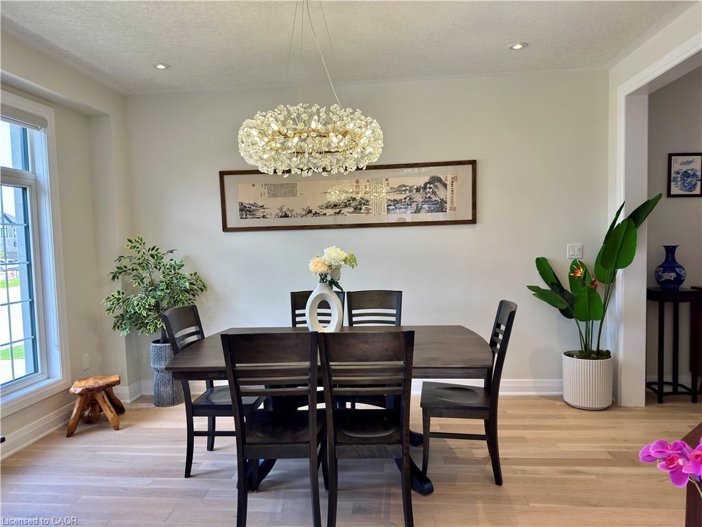 923 Eaglecrest Court Property Photo 6