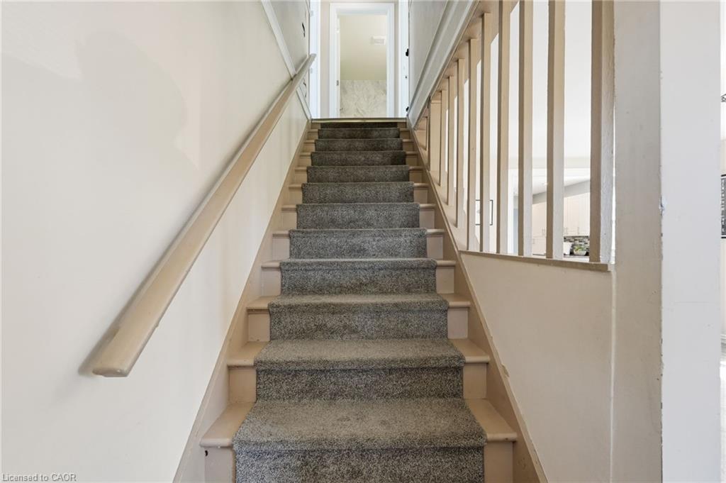 53 Dalhousie Avenue Property Photo 24