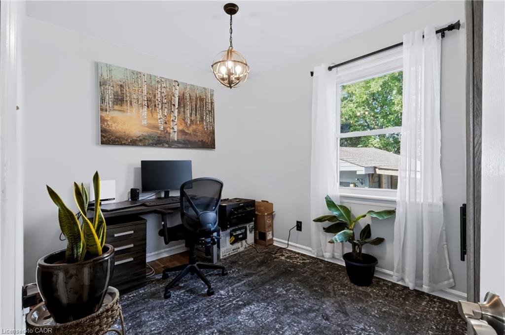 164 Charlotte Street Property Photo 18