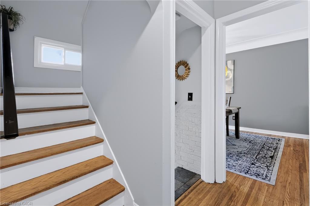 164 Charlotte Street Property Photo 20