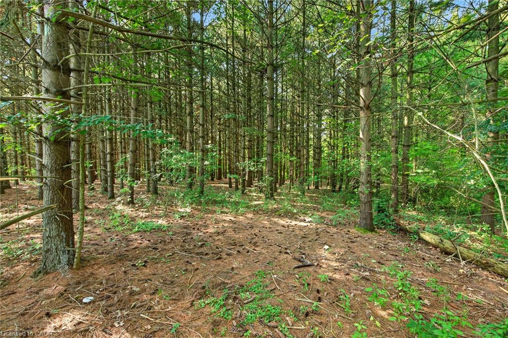 147 Concession 1 Road S Property Photo 38