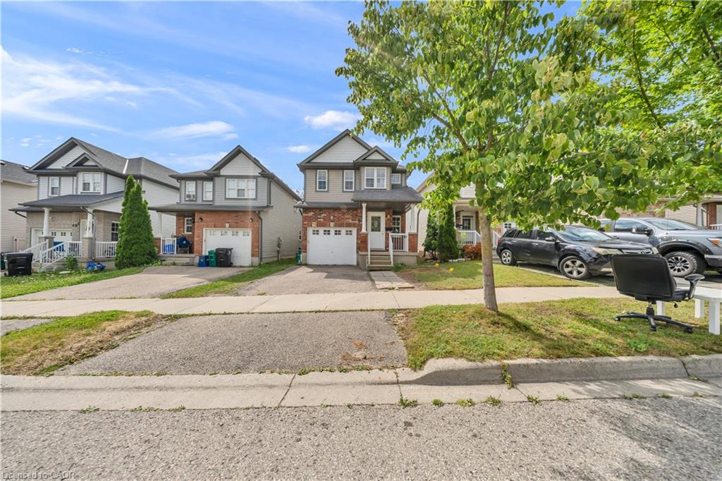 425 Speckled Alder Street