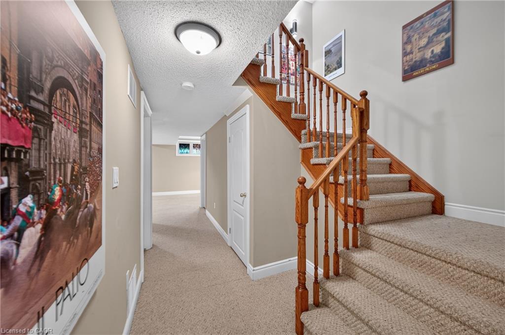 8-31 Sunvale Place Property Photo 29