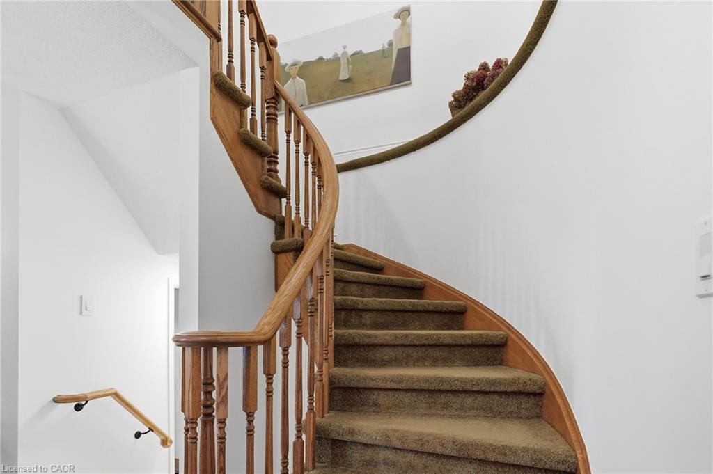 64 Redfern Avenue Property Photo 23