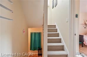 139 Balsam Avenue S Property Photo 13