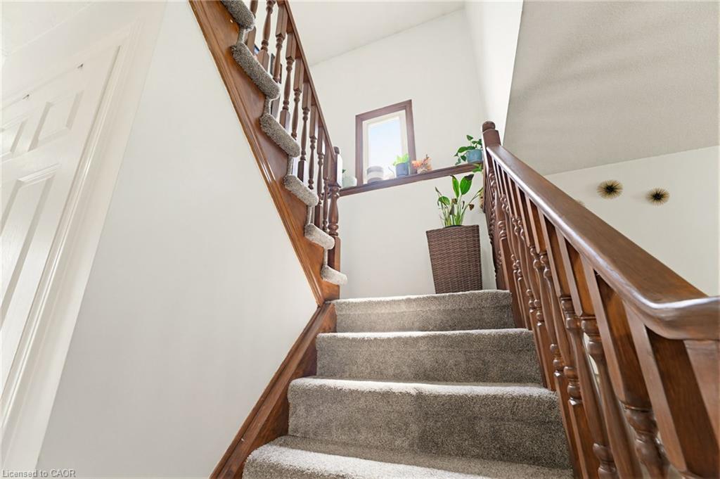 459 Dicenzo Drive Property Photo 22
