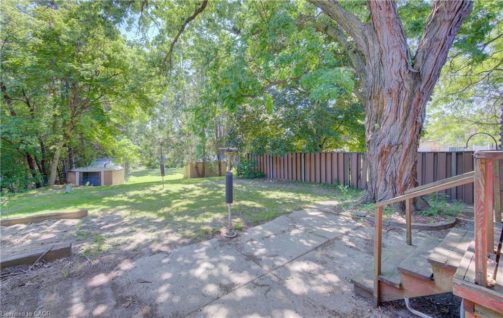 9 Rothsay Avenue Property Photo 29