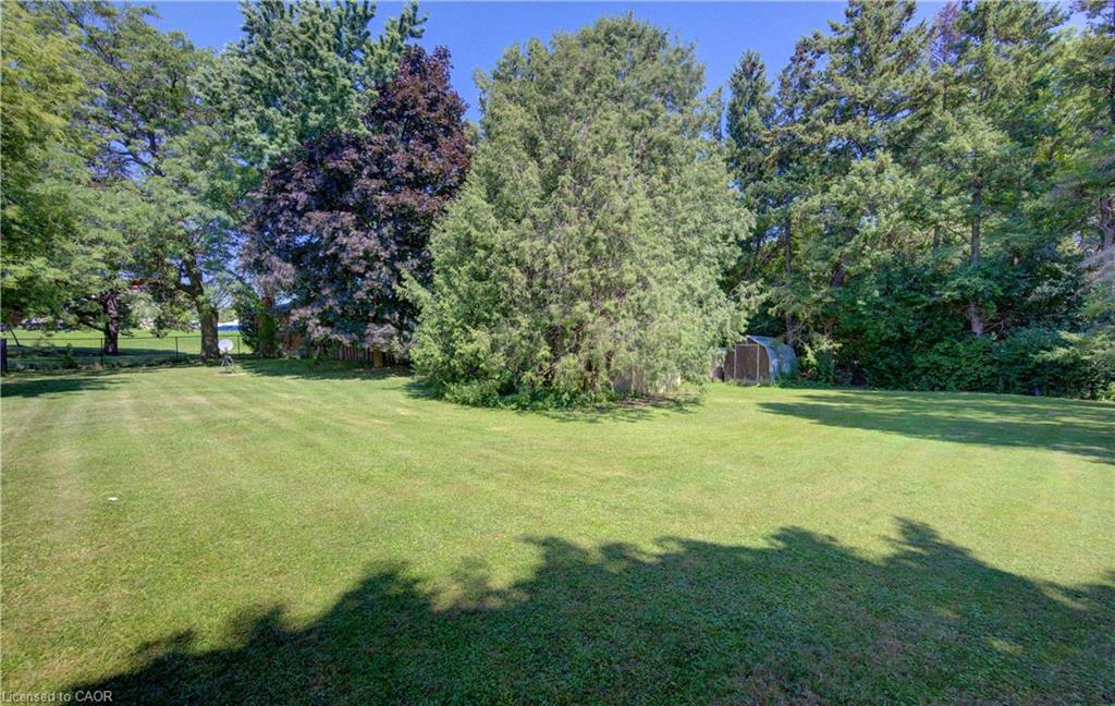9 Rothsay Avenue Property Photo 34