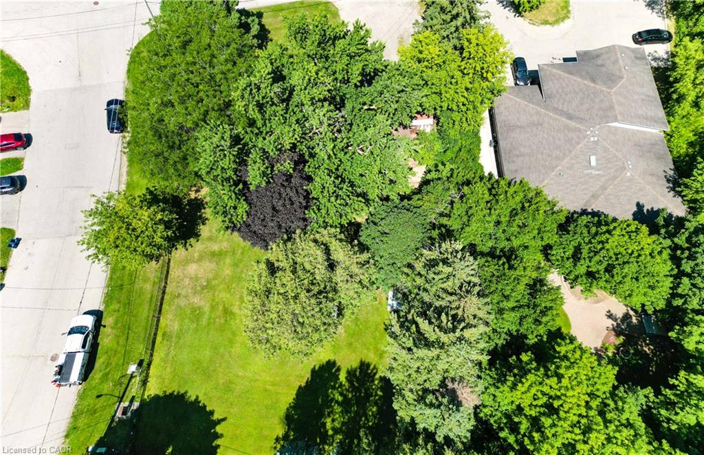 9 Rothsay Avenue Property Photo 40