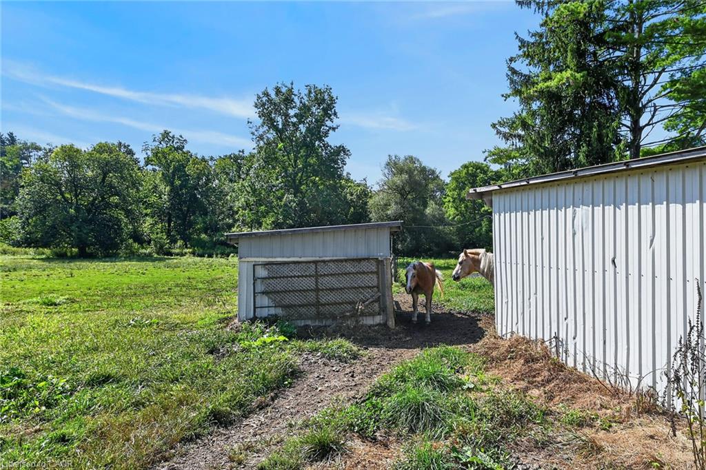 90 Governors Road Property Photo 38