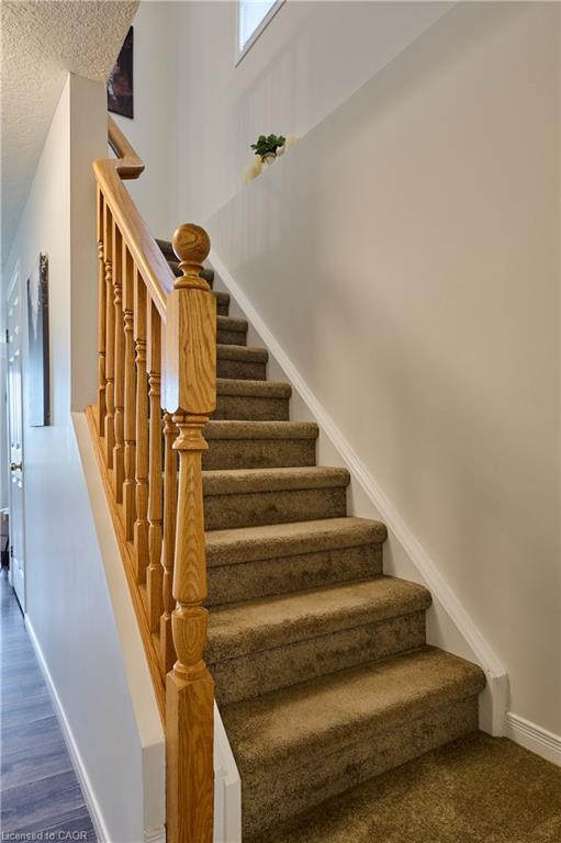 212 Red Clover Court Property Photo 16