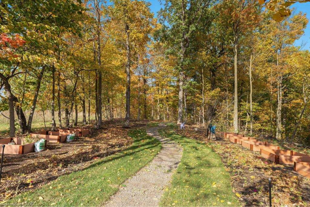 3169 King Street Property Photo 49