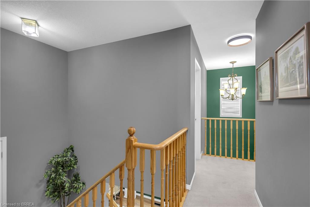 30 Stowe Terrace Property Photo 17