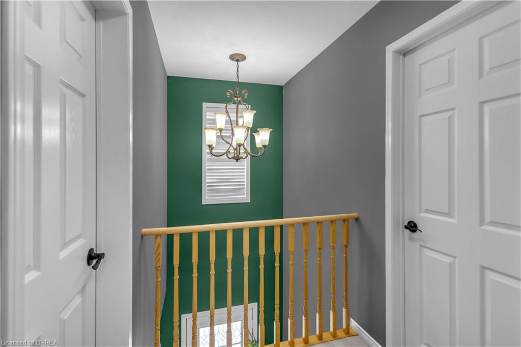 30 Stowe Terrace Property Photo 23