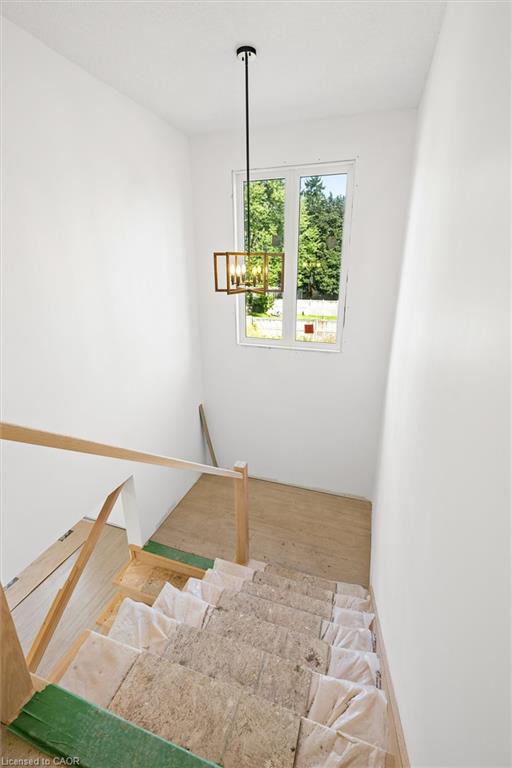 138 Charlotta Street Property Photo 35