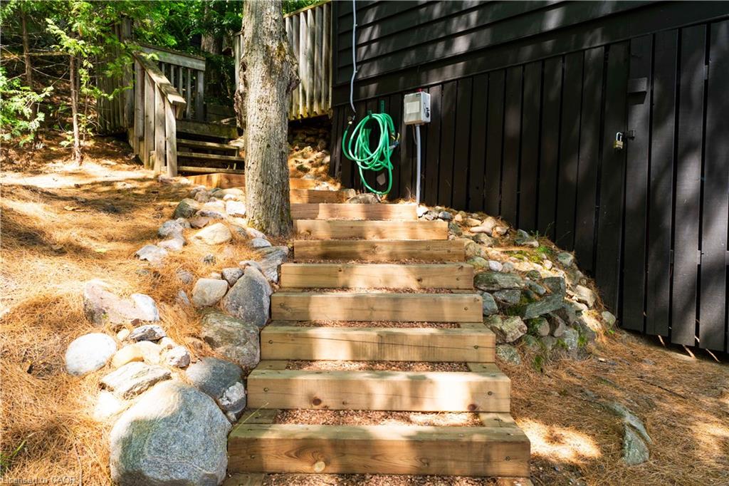1009 Fogo Street Property Photo 41