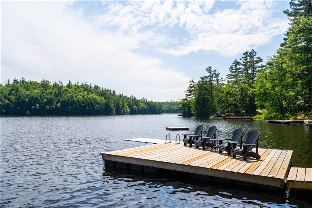 1009 Fogo Street Property Photo 48