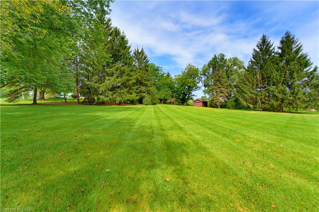 901 Safari Road Property Photo 46