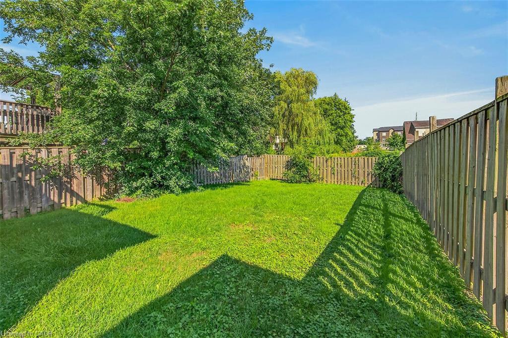 83 Marion Street Property Photo 37