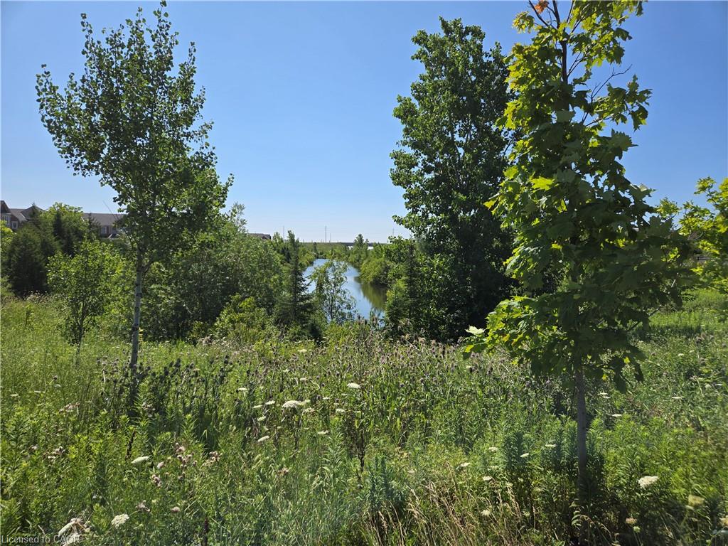50 Dredge Court Property Photo 2