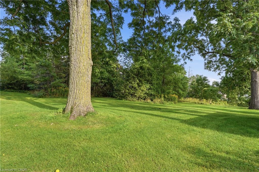 481 Whites Road Property Photo 35