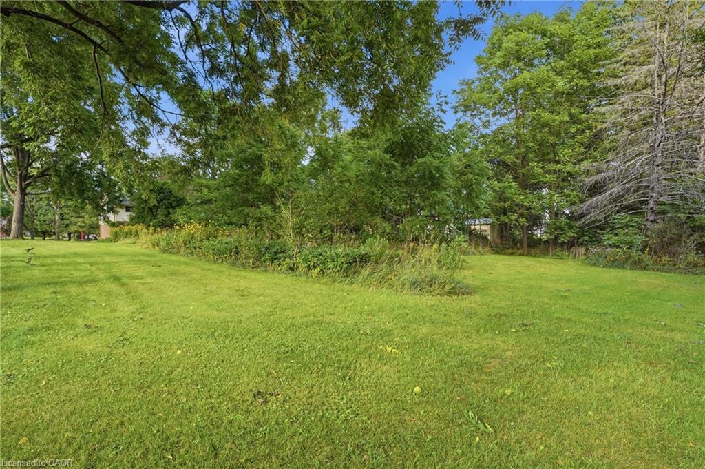 481 Whites Road Property Photo 39