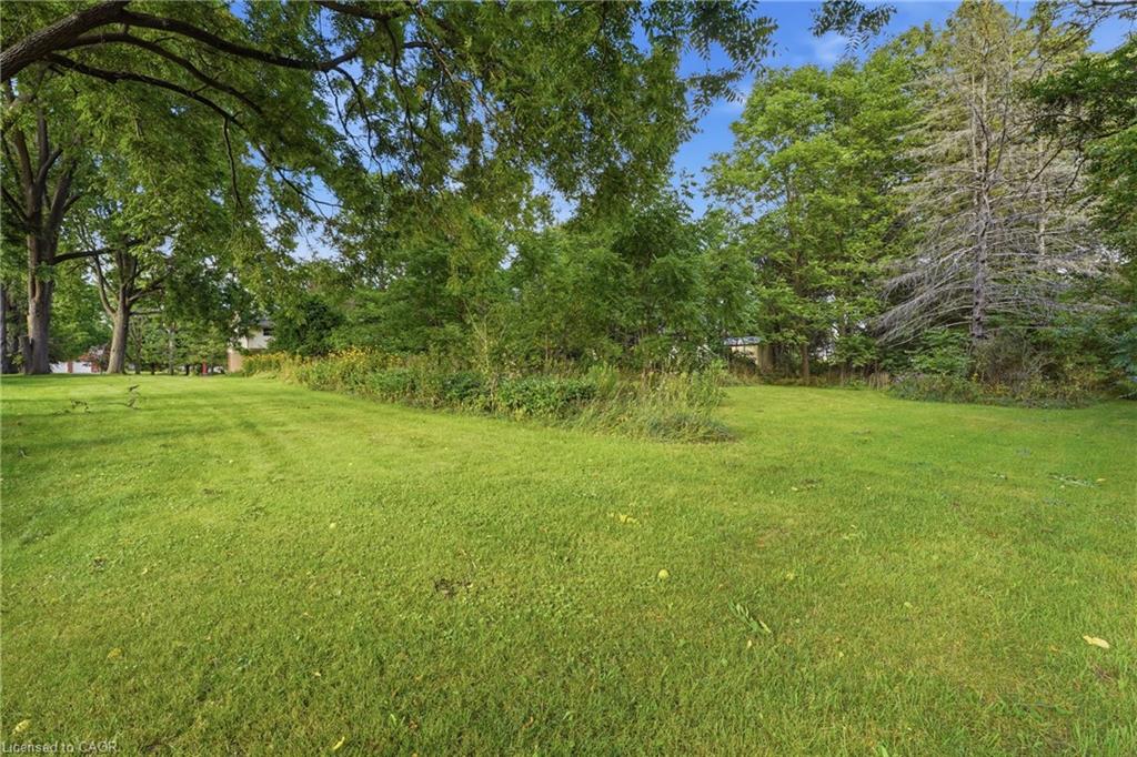 481 Whites Road Property Photo 40