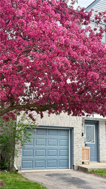 22-589 Beechwood Drive Property Photo 41