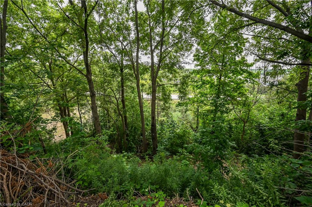 845 Collinson Road Property Photo 16